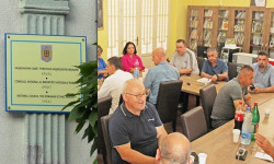 ALEGERILE PENTRU NOUL CONSILIU AL MINORITĂȚII NAȚIONALE AL ROMÂNILOR DIN SERBIA