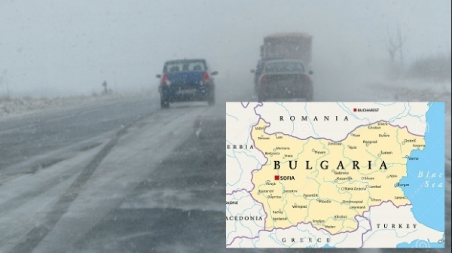 COD GALBEN DE NINSORI ȘI &Icirc;NGHEȚ &Icirc;N BULGARIA