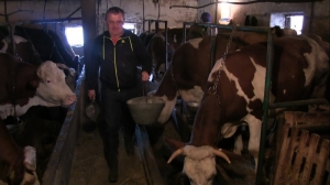 CREȘTEREA ANIMALELOR, OCUPAȚIE TRADIȚIONALĂ ROM&Acirc;NEASCĂ
